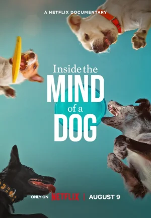 Inside The Mind Of A Dog