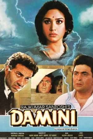 Damini