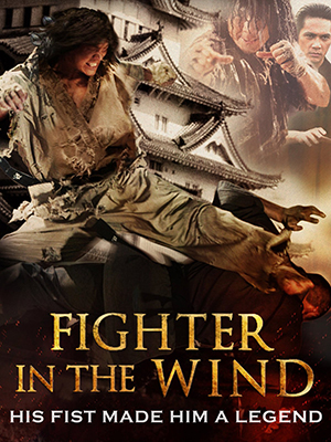 Fighter In The Wind