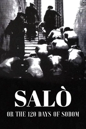 salo